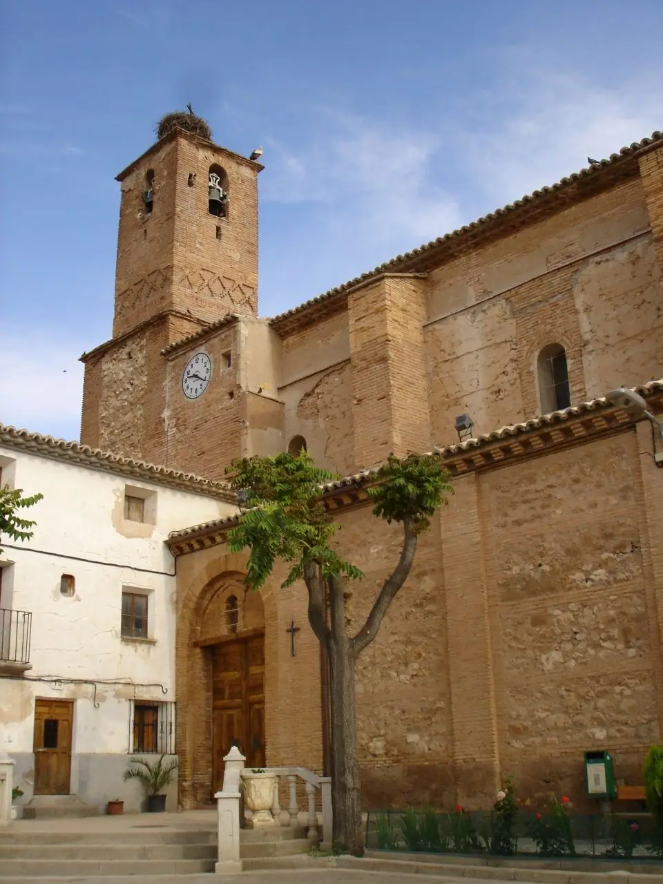 Imagen de «Pozuelo de Aragón»