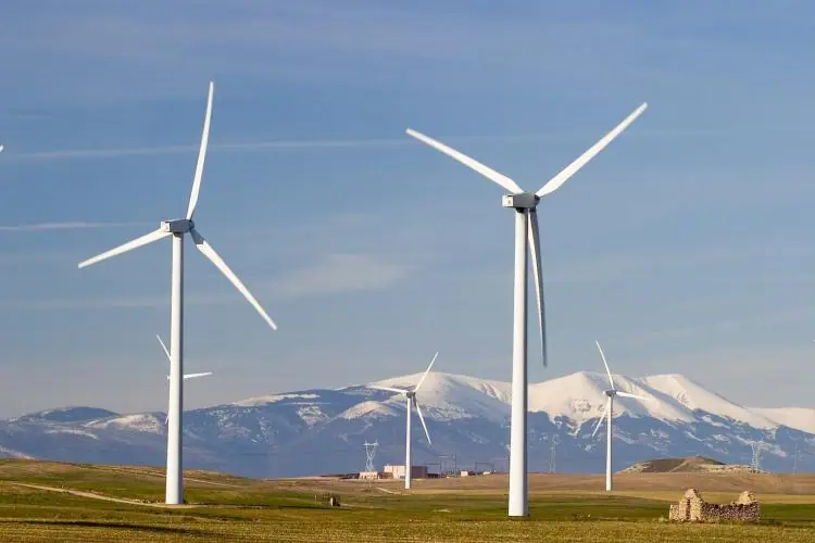 Imagen de «Pozuelo de Aragón»