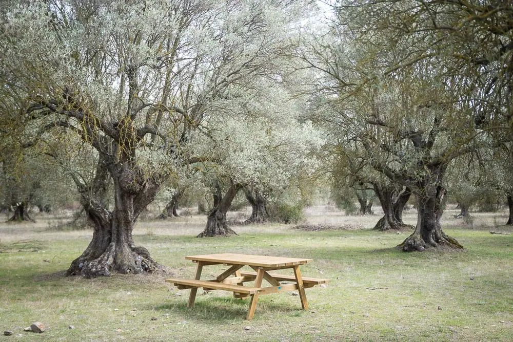 Imagen de «Ambel»