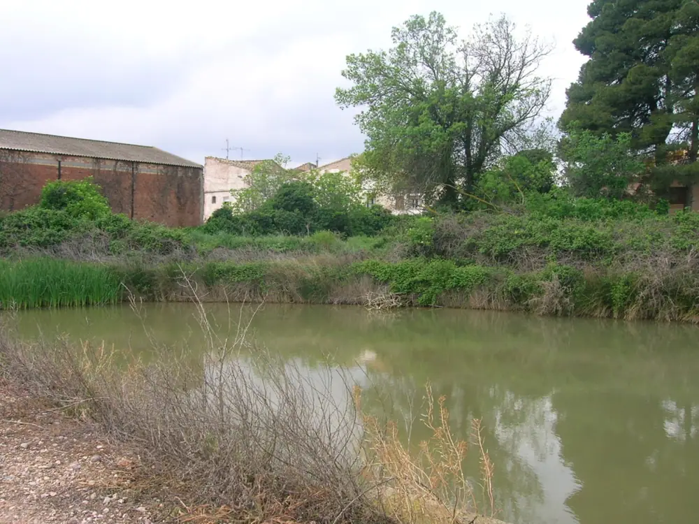 Imagen de «Pozuelo de Aragón»