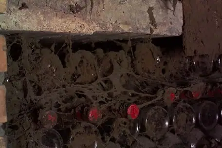 Imagen de «BODEGAS BORDEJÉ»