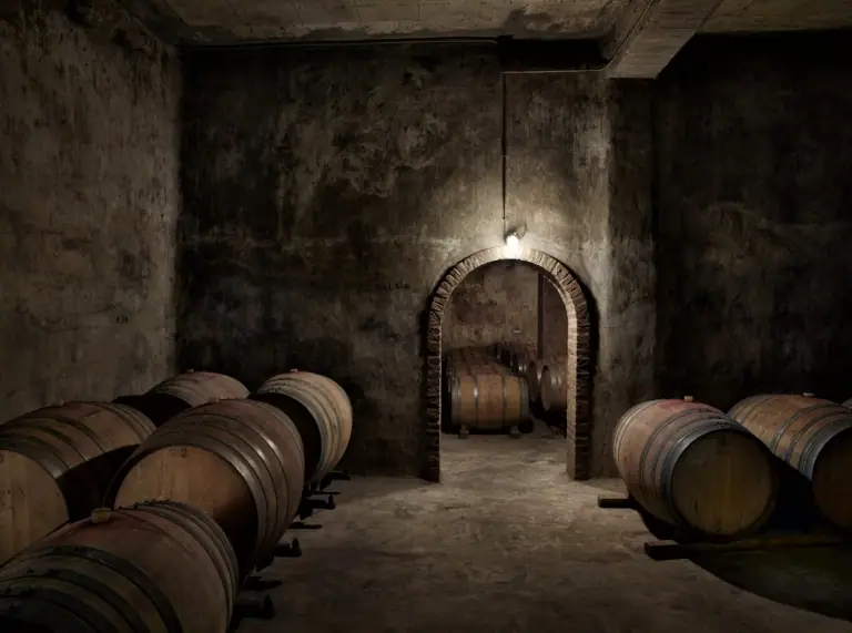 Imagen de «BODEGAS AINZÓN»