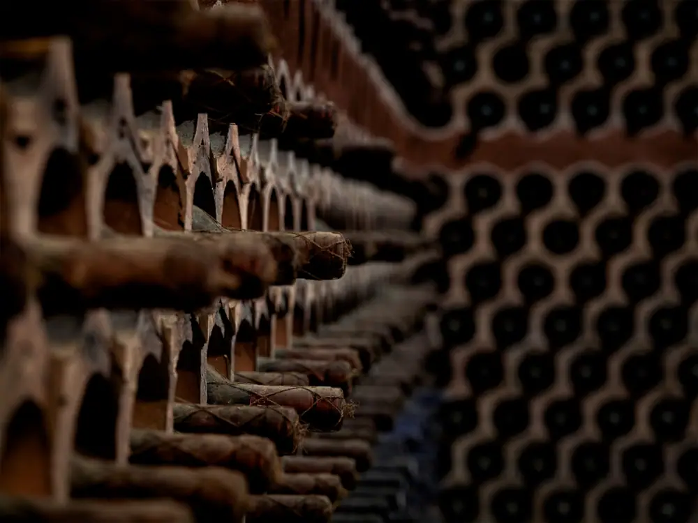Imagen de «BODEGAS AINZÓN»