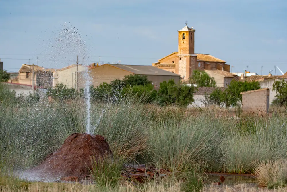 Imagen de «Pozuelo de Aragón»