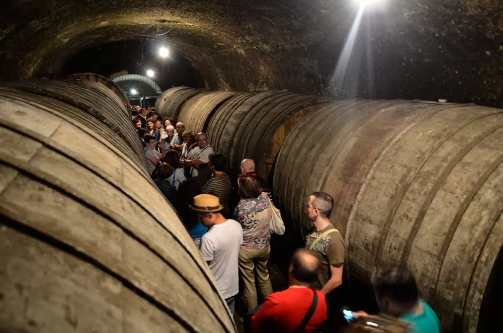 Imagen de «BODEGAS RUBERTE»