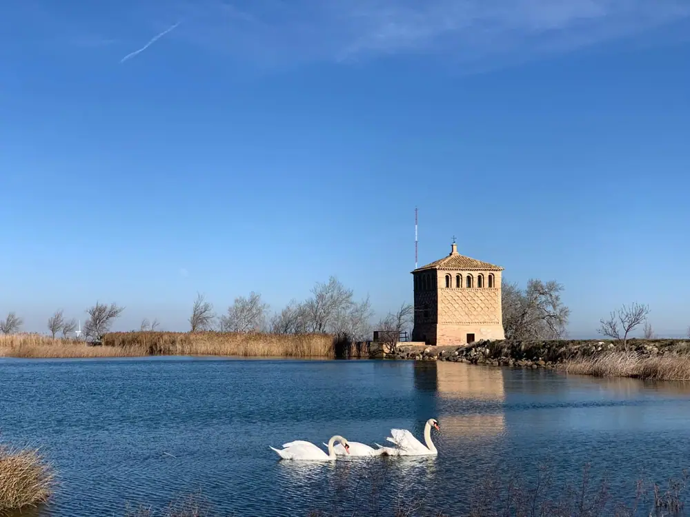 Imagen de «La Diputación Provincial de Zaragoza en su área de turismo lanza la campaña «A orillas del agua en Zaragoza Provincia».»