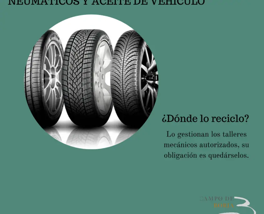 Imagen de «Residuos que INLADIS no recoge»