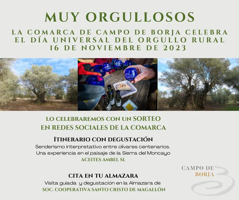 Imagen de «Servicio Comarcal de Cultura»