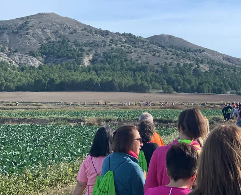 Imagen de «Fotos: Carrera contra el Cáncer 2023»
