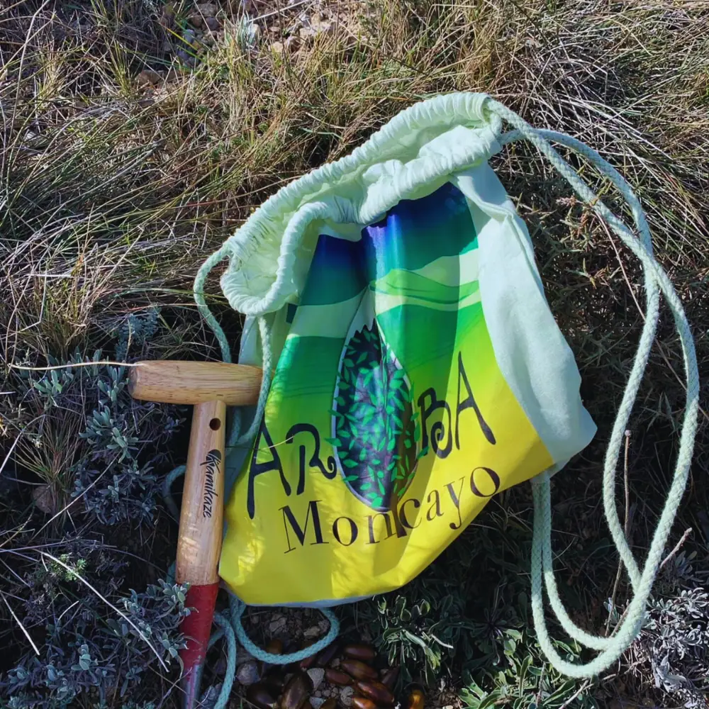 Imagen de «Fotos: Cuarta siembra de bellotas en las Peñas de Herrera»