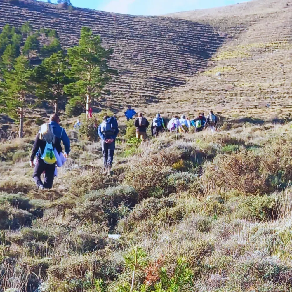 Imagen de «Fotos: Cuarta siembra de bellotas en las Peñas de Herrera»
