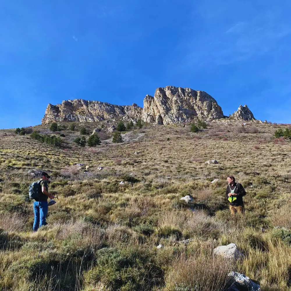 Imagen de «Fotos: Cuarta siembra de bellotas en las Peñas de Herrera»