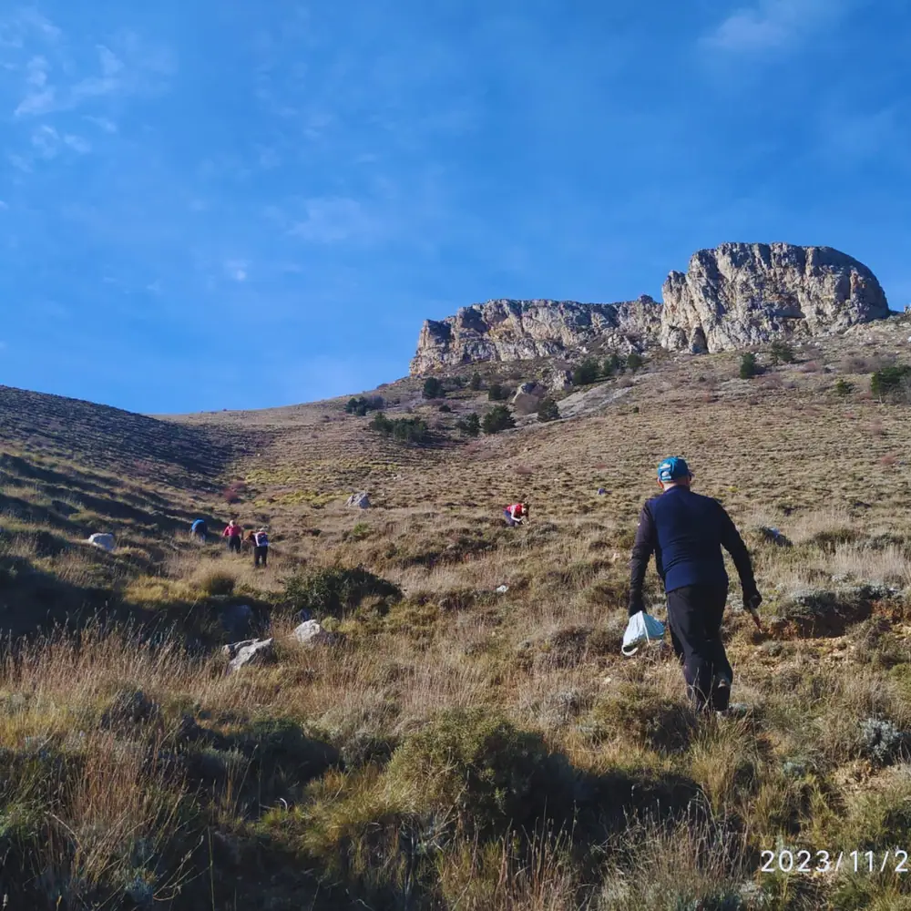 Imagen de «Fotos: Cuarta siembra de bellotas en las Peñas de Herrera»