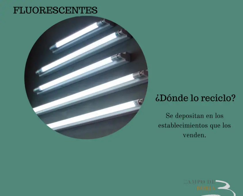Imagen de «Residuos que INLADIS no recoge»