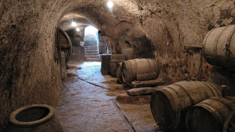 Imagen de «Bodegas en cerro en Fuendejalón»