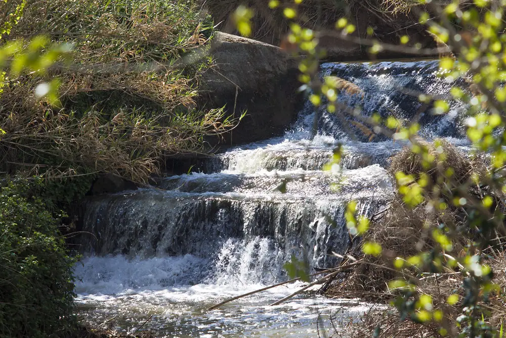Imagen de «Río Huecha»