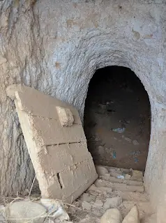 Imagen de «Bodegas en cerro en Maleján»