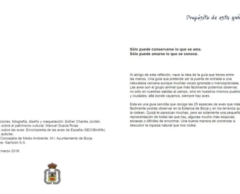 Imagen de «Ornitología»