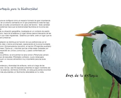 Imagen de «Ornitología»